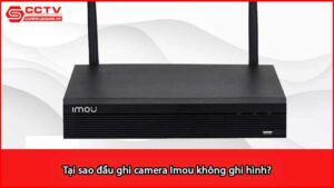 tai-sao-dau-ghi-camera-imou-khong-ghi-hinh_1