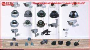 10-loai-camera-giam-sat-tot-nhat-danh-cho-doanh-nghiep-nam-2025-0