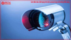 cach-dam-bao-chat-luong-hinh-anh-camera-trong-moi-truong-thieu-sang-0