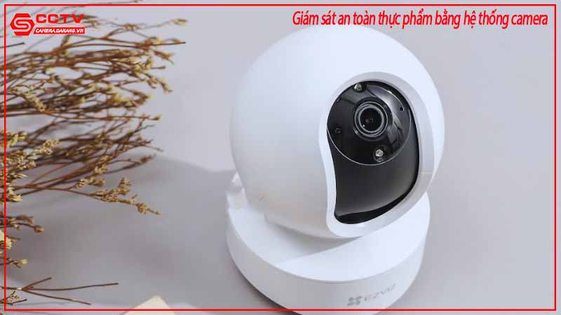 phat-hien-gian-lan-noi-bo-nho-camera-giam-sat-1