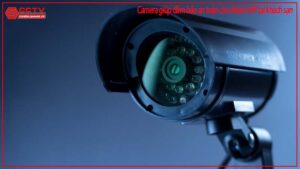 camera-giup-dam-bao-an-toan-cho-khach-vip-tai-khach-san-0