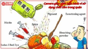 camera-giup-phat-hien-hanh-vi-su-dung-chat-cam-trong-quan.jpg-1